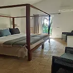 Quinta Eirinhas-jardim De Bonsai 4*
