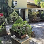 Quinta Eirinhas-jardim De Bonsai