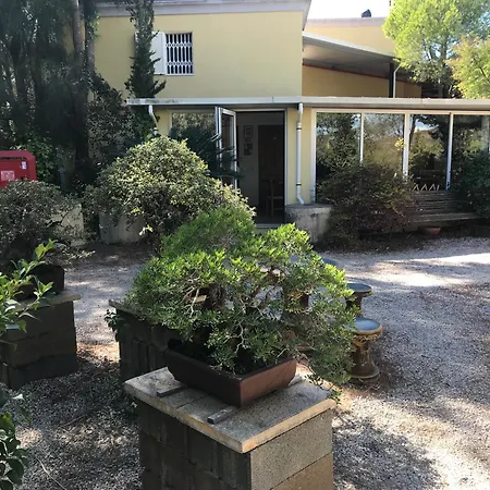 Quinta Eirinhas-jardim De Bonsai 4*