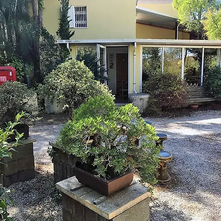 Quinta Eirinhas-jardim De Bonsai