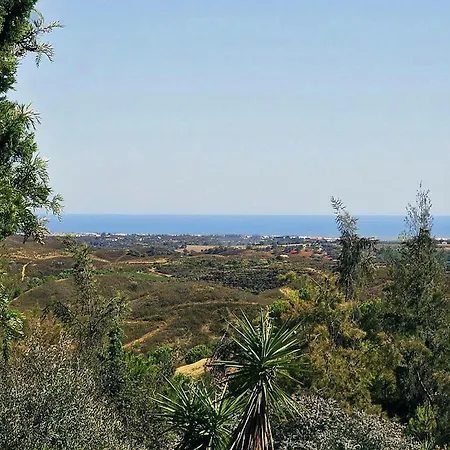 Quinta Eirinhas-jardim De Bonsai